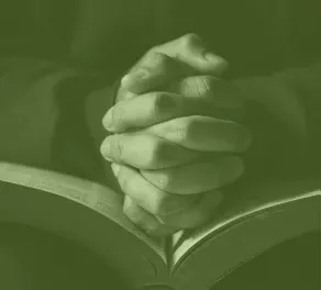 Fe